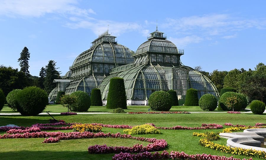 Palmenhaus (C) Claudia Gröschel